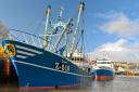 Fish dock boost: Belgian trawler Dennis Z-510 and Anglo-Spanish vessel Manuel Laura at Milford Fish Docks.