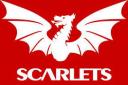 Scarlets were beaten by Cardiff on Saturday
