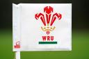 The Welsh Rugby Union was responsible for a “serious failure of governance”, according to a report (David Davies/PA)