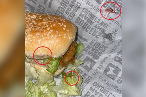 Milford Mercury: A photo posted on Facebook shows blood in a burger from KFC Pembroke Dock