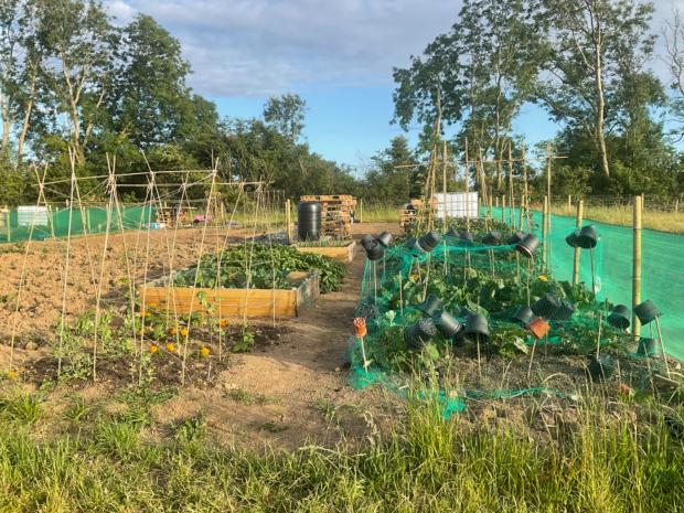 Milford Mercury: The community garden at the showground