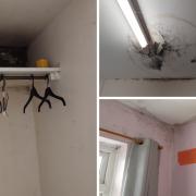 Pictures show thick mould in the property and damp coming through ceilings.